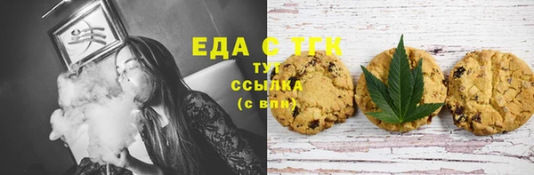 индика Новозыбков
