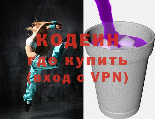 индика Новозыбков