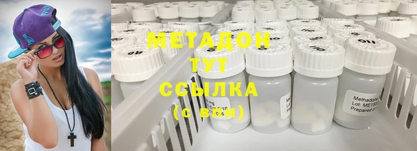 индика Новозыбков