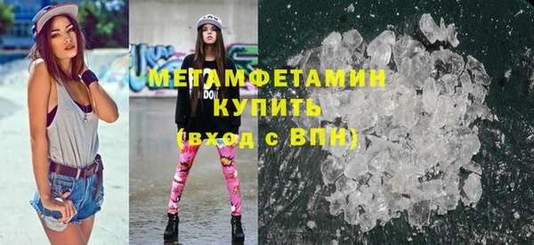 индика Новозыбков