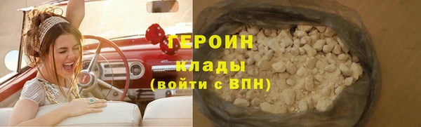 индика Новозыбков