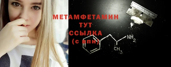 индика Новозыбков