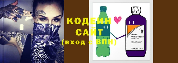 индика Новозыбков