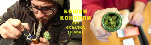 индика Новозыбков