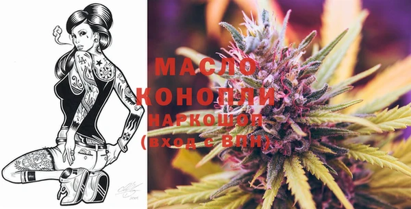 индика Новозыбков